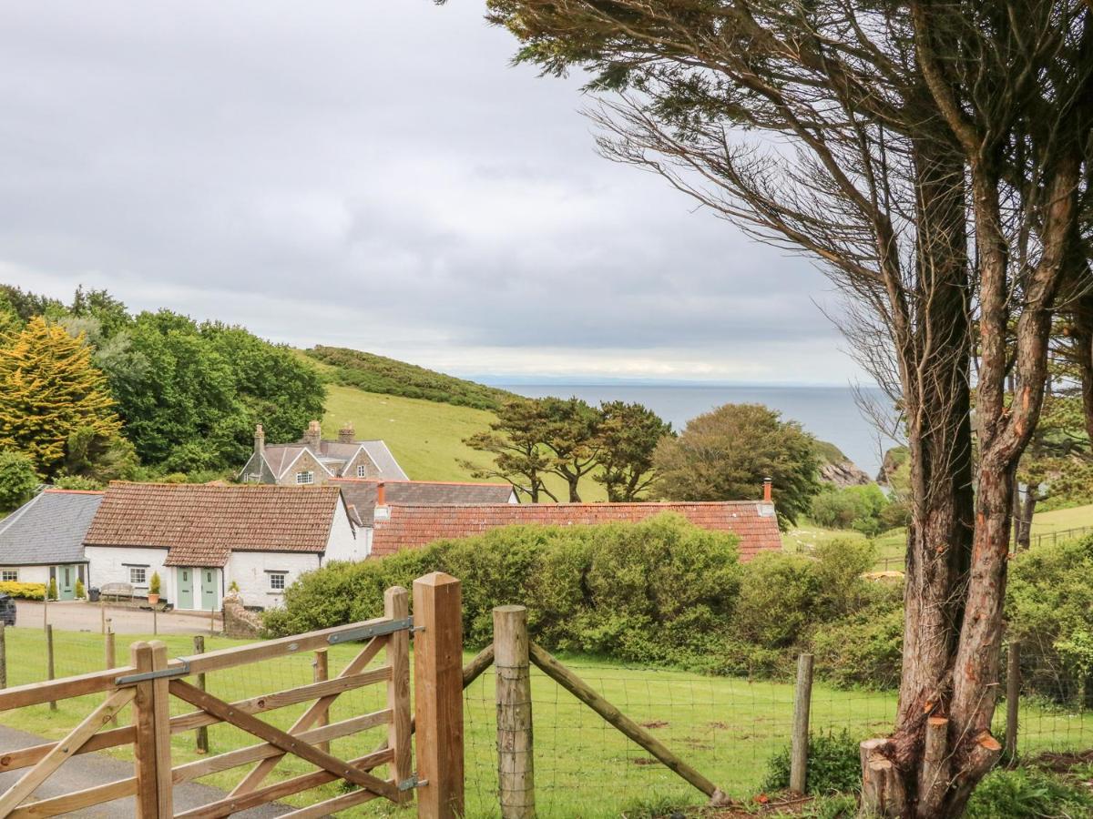 Partridge Cottage Ilfracombe Exterior photo